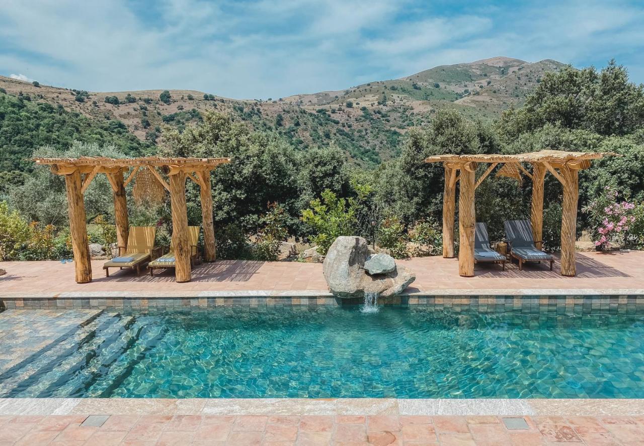 Residence De Luxe 4 Etoiles A Pietralba, 4 Logements Piscine Chauffee Balagne 외부 사진